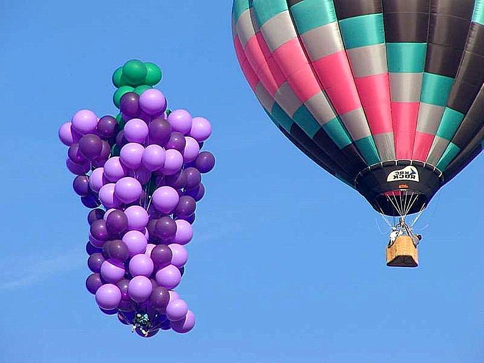 Balloon hot air sky