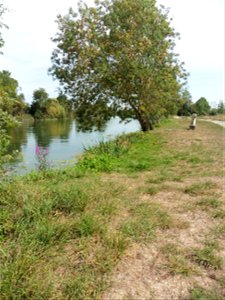 Fleuve Charente, Charente-Maritime