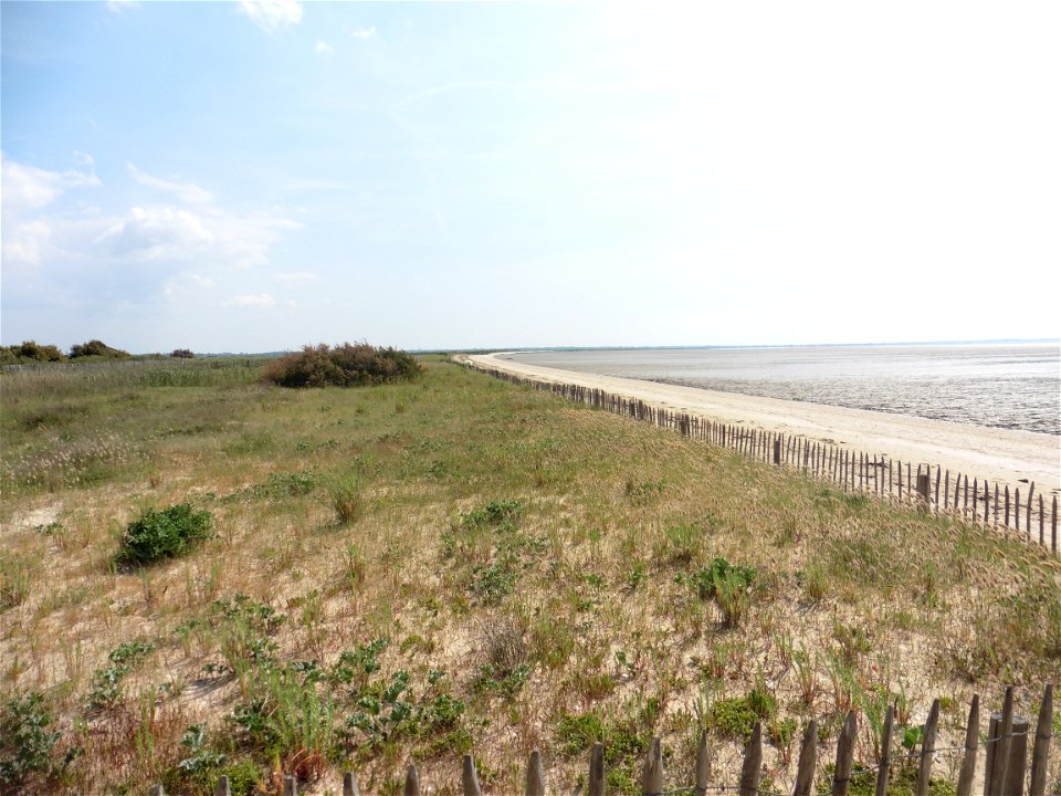 Littoral de Charente-Maritime
