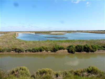 Littoral charentais, Oléron, Moëze
