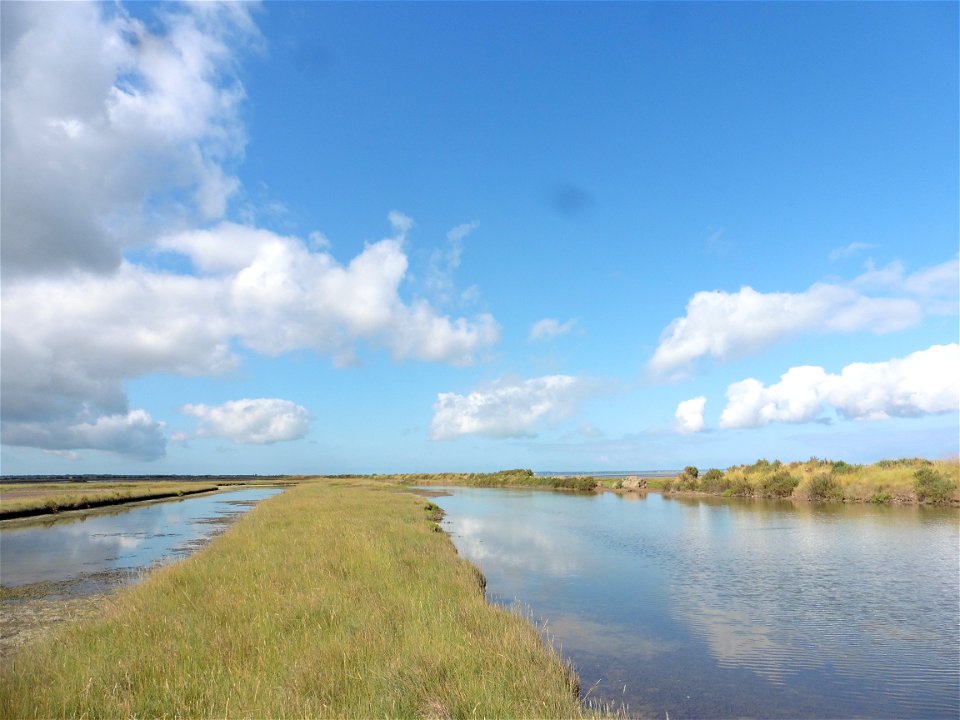 Littoral charentais, Oléron, Moëze