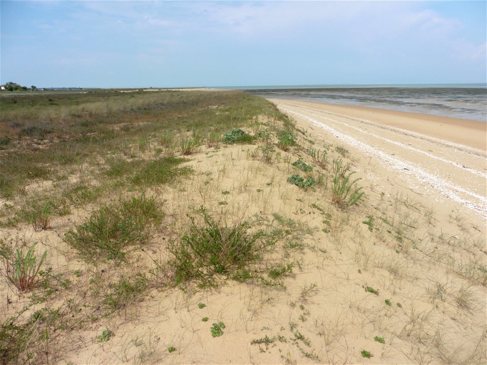 Littoral de Charente-Maritime