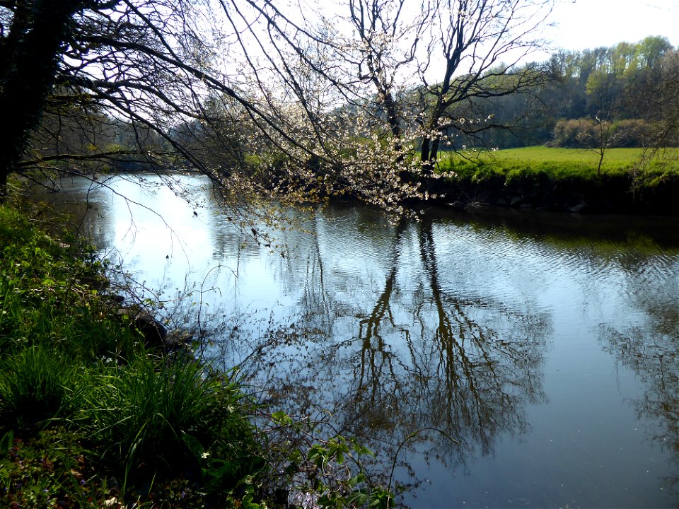 Bords de Sèvre Nantaise, Vendée