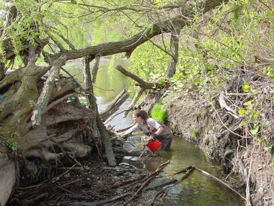 Biologist little river