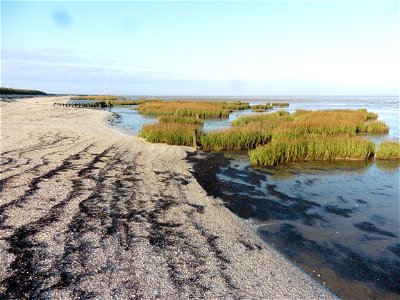 Littoral charentais, Oléron, Moëze