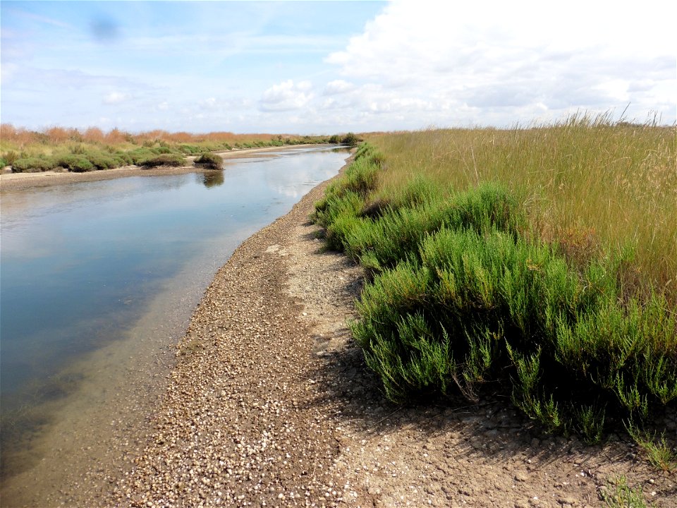 Littoral charentais, Oléron, Moëze