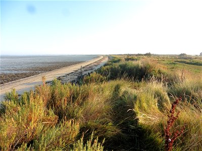 Littoral charentais, Oléron, Moëze