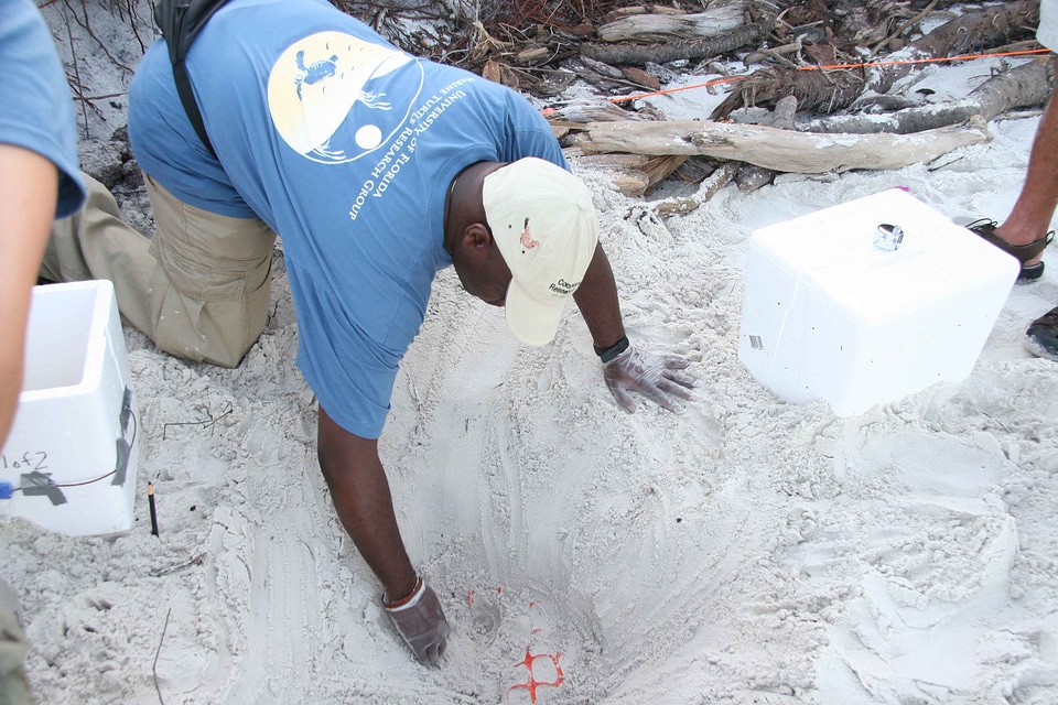 Sand scientists 