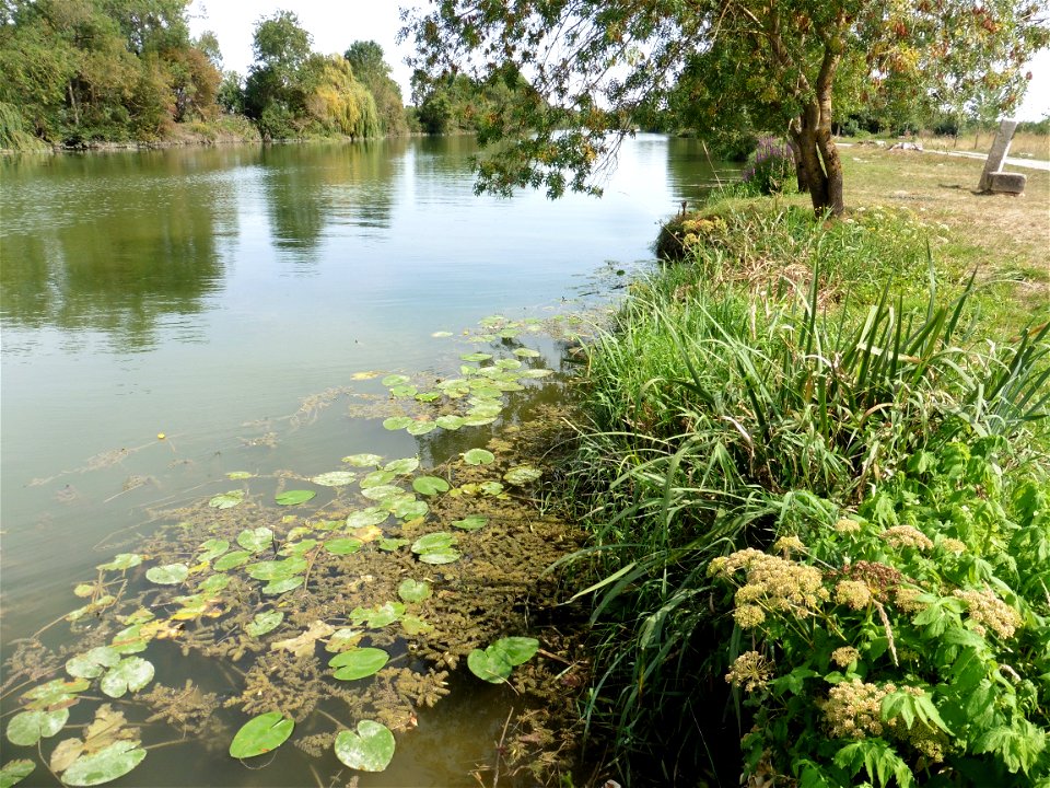 Fleuve Charente, Charente-Maritime