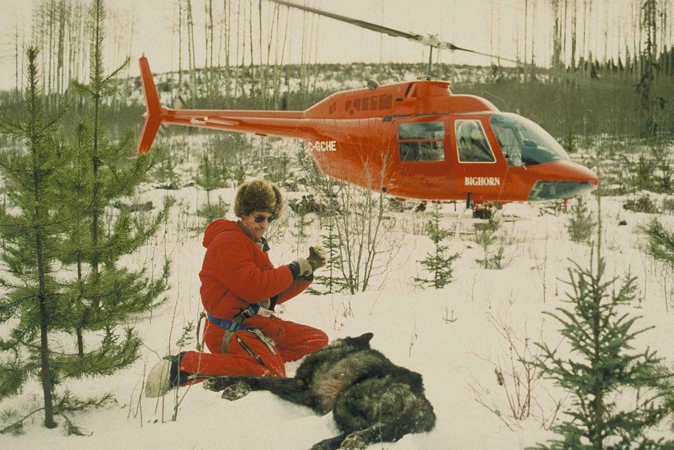 Carriage gray helicopter