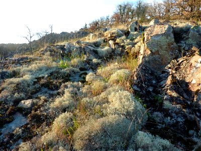 Vallée de l'Argenton