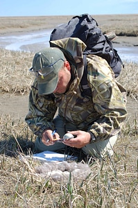 Array influenza sampling photo