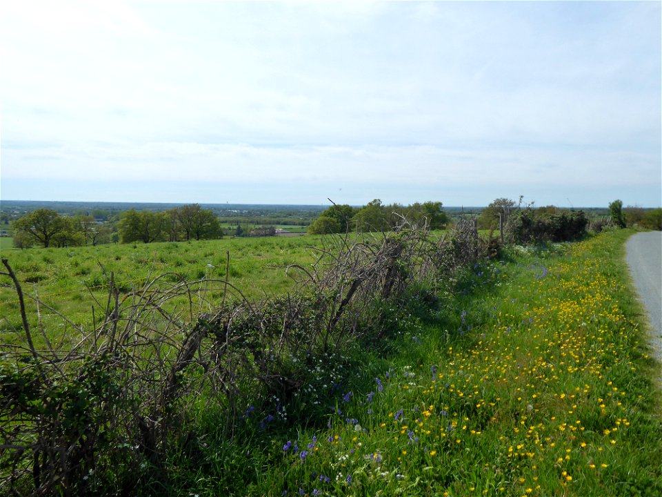 Bocage vendéen, Les Herbiers
