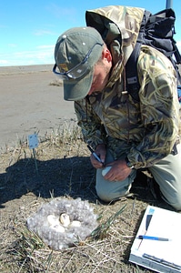 Array labor male photo