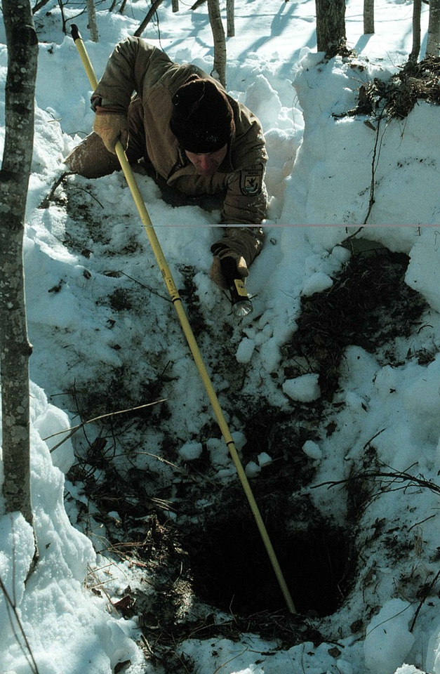 Bears biologist black