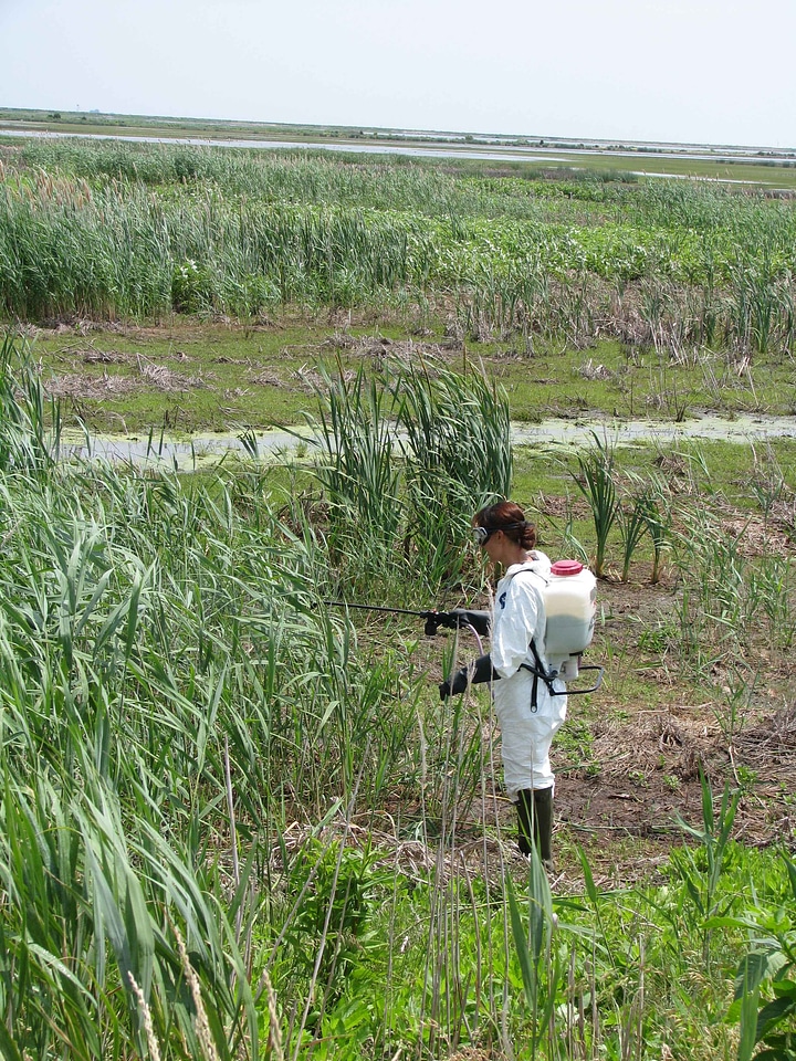 Crops female nature