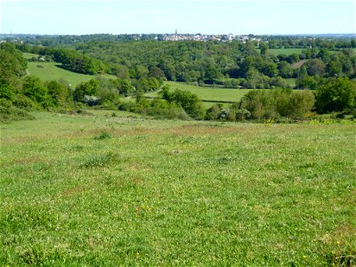 Tiffauges depuis Torfou