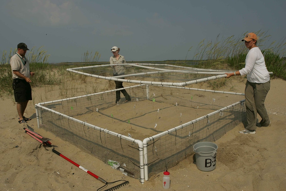 Hatchery labor nest