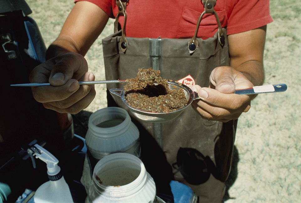 Biologist collection microbiologist