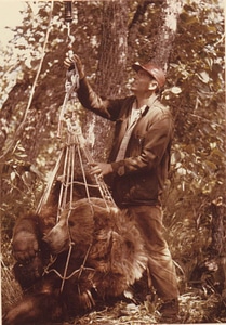 Bears biologist brown