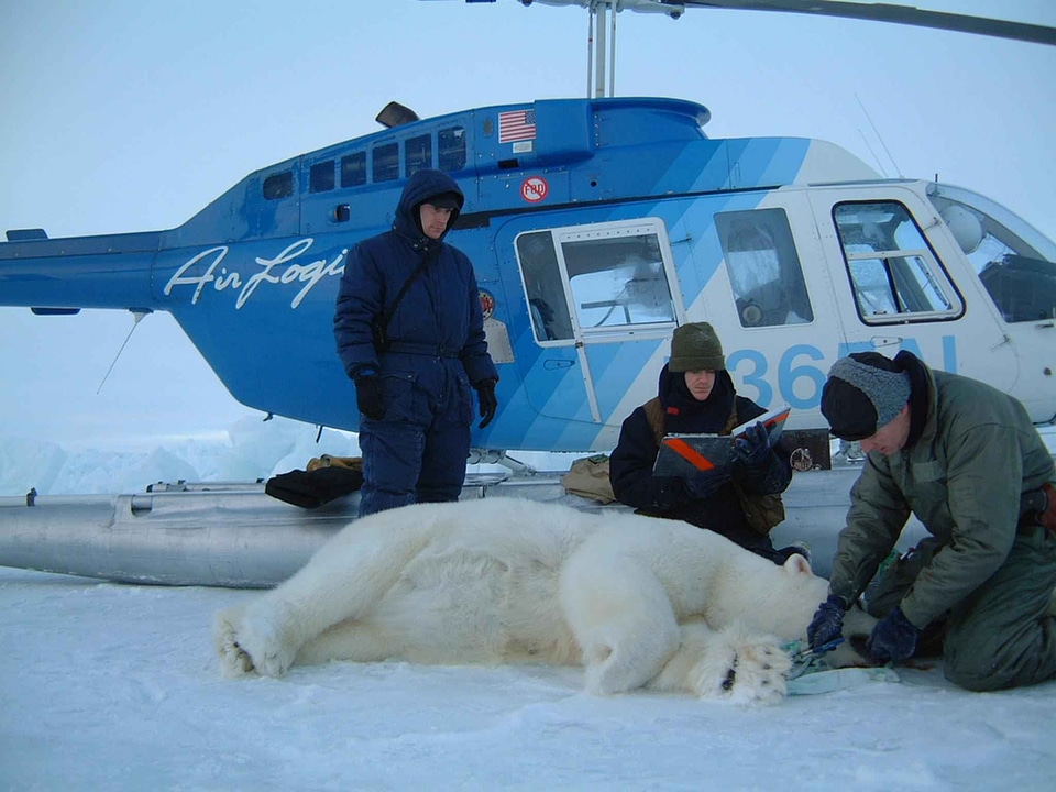 Bears measure proof