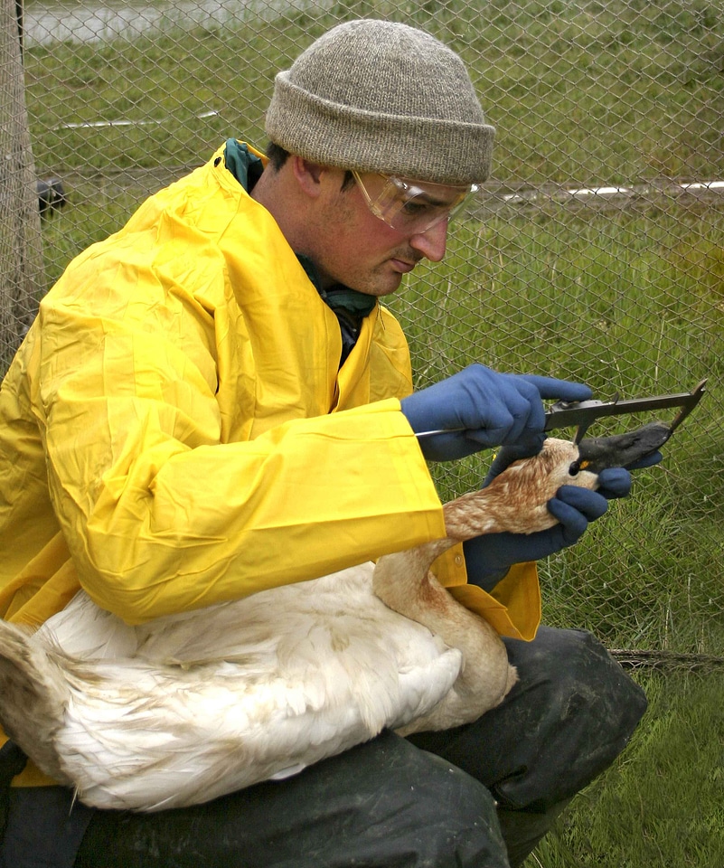 Account angel biologist
