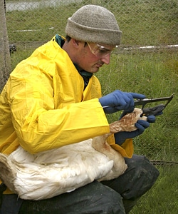 Account angel biologist