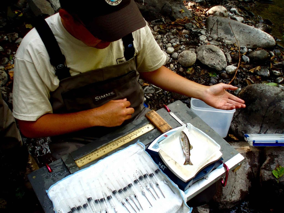Biologist experience fish