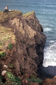 Biologist bird cliff