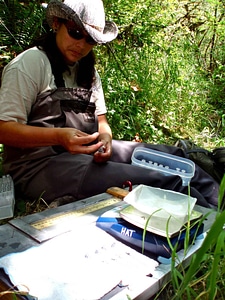 Biologist fish information