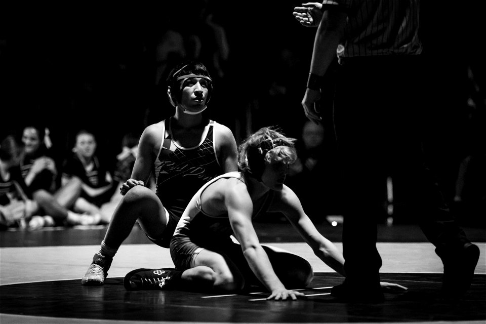 HC vs North-4174
