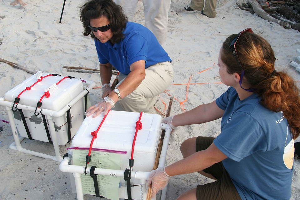 Background equipment scientists