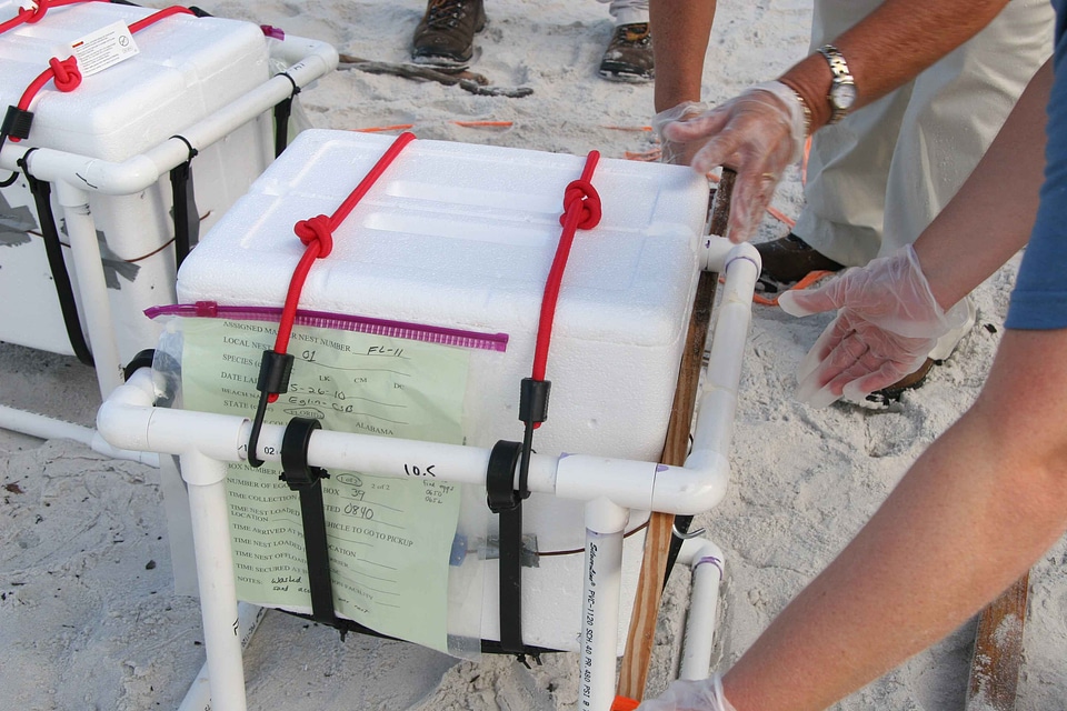 Carriage containers 