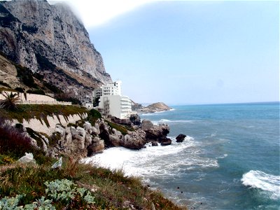 DSC05754