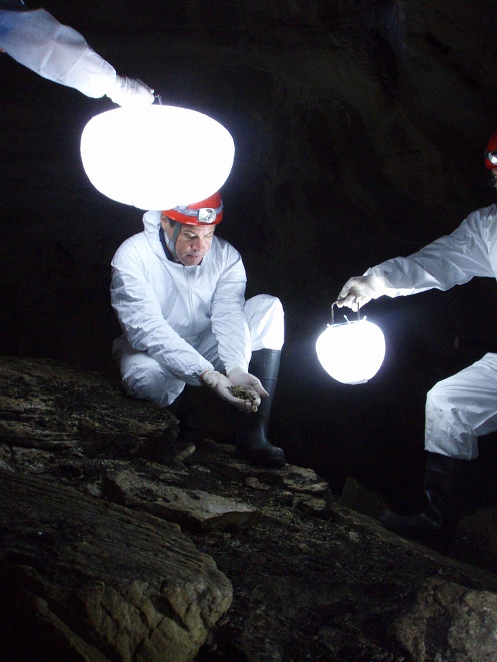 Labor scientists white