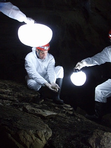 Labor scientists white