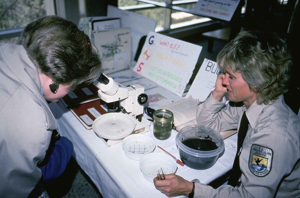 Labor looking microscope