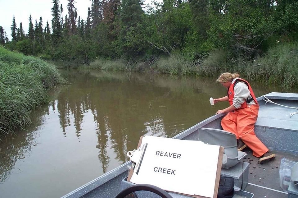 Aquatic collection river