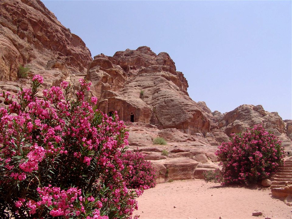 DSC07300
