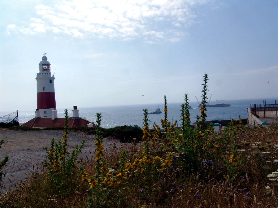 DSC05736