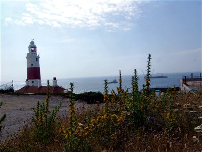 DSC05736