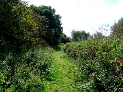 Kingsbury 001