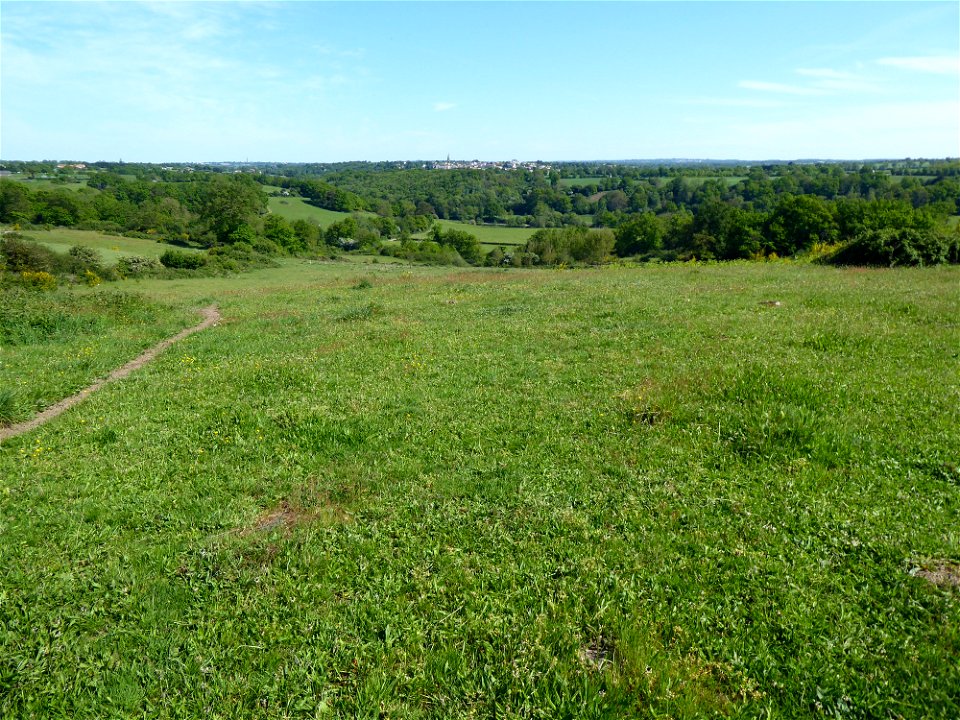 Tiffauges depuis Torfou