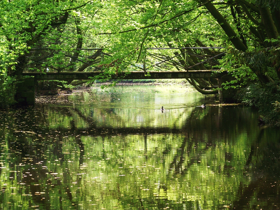 Water river rest