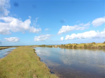 Littoral charentais, Oléron, Moëze