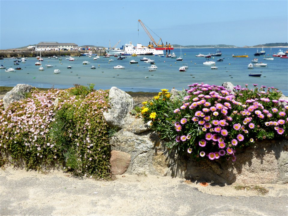 P1000817