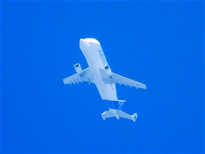 Airbus Beluga photo