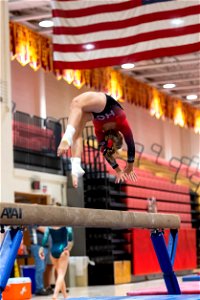 Sectional Finals-7208