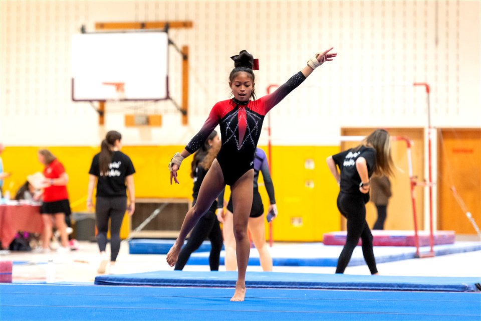Sectional Finals-7331