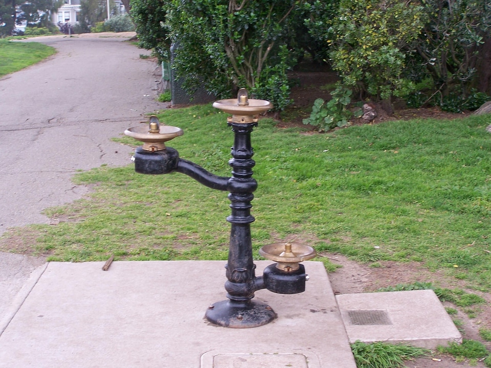 Aquatic fountain iron